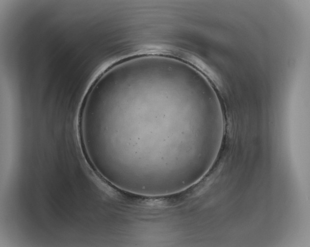 X0000111681283200907171626