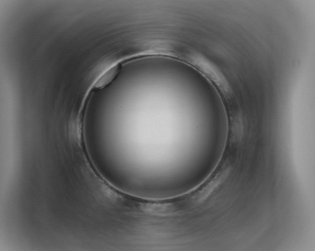 X0000111681284200907171626