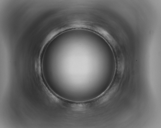 X0000111681286200907171626