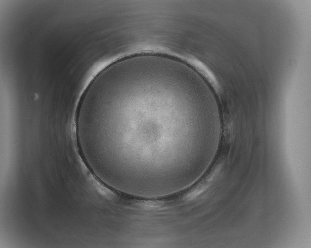 X0000111681287200907171626