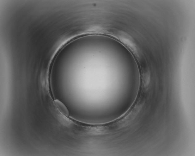 X0000111681288200907171626