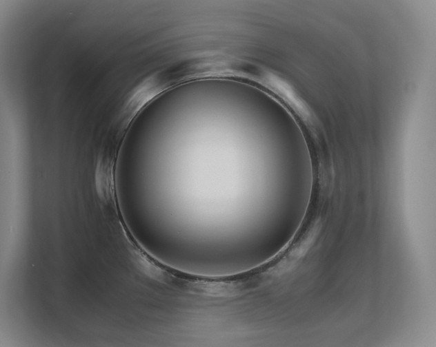 X0000111681289200907171626