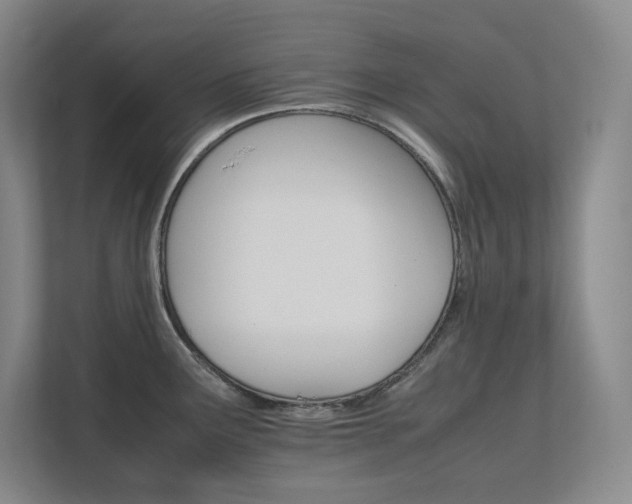 X0000111681291200907171626