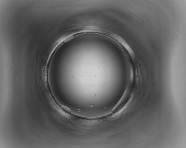 X0000111681292200907171626