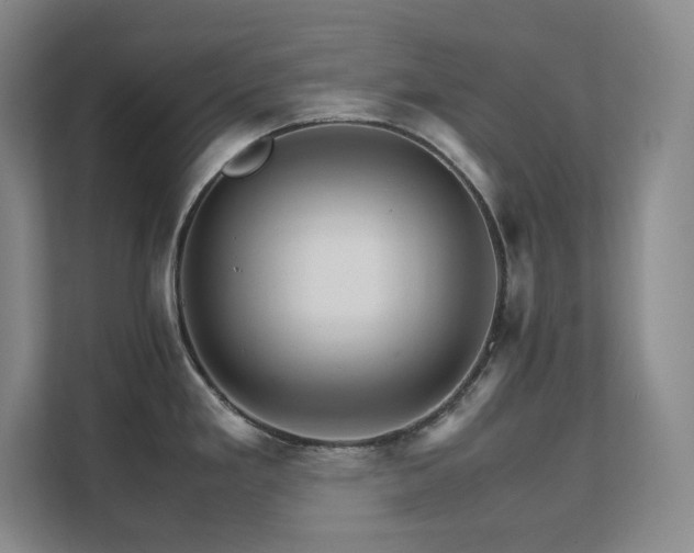 X0000111681293200907171626