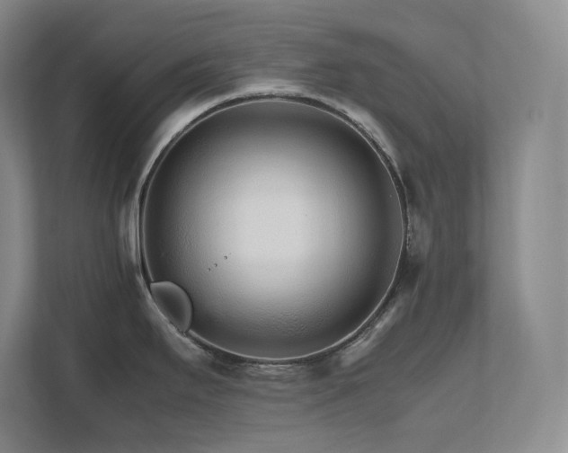 X0000111681295200907171626