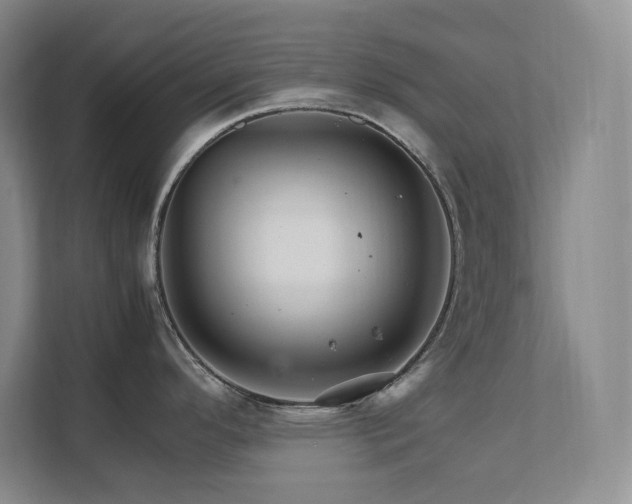 X0000111681296200907171626