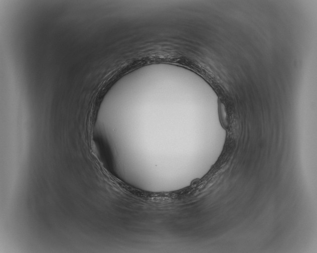 X0000111681297200907171625