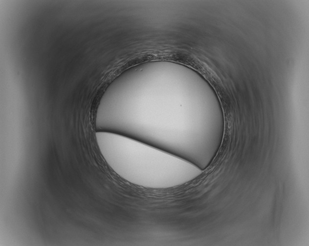 X0000111681298200907171625