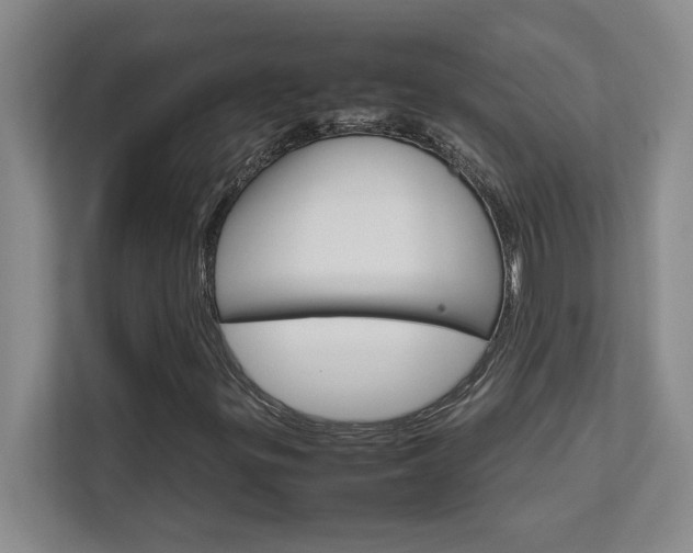 X0000111681299200907171625