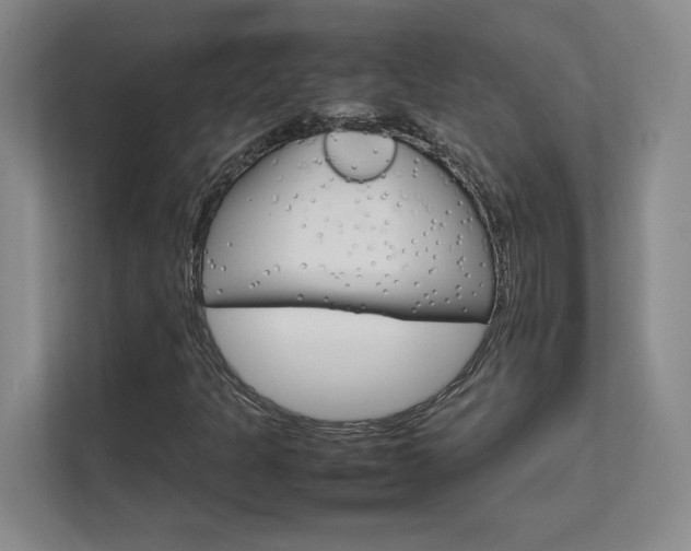 X0000111681301200907171625