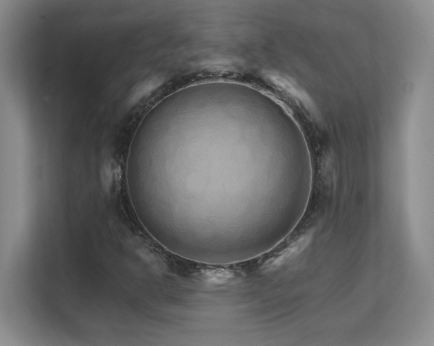 X0000111681302200907171625