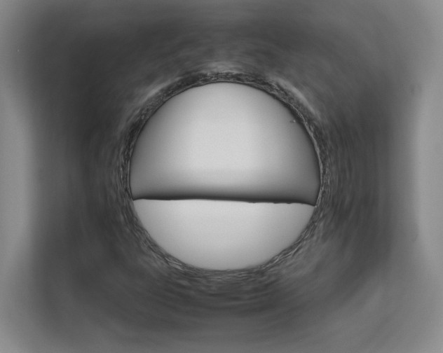 X0000111681303200907171625