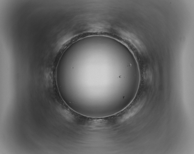 X0000111681304200907171625