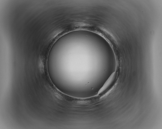 X0000111681305200907171626