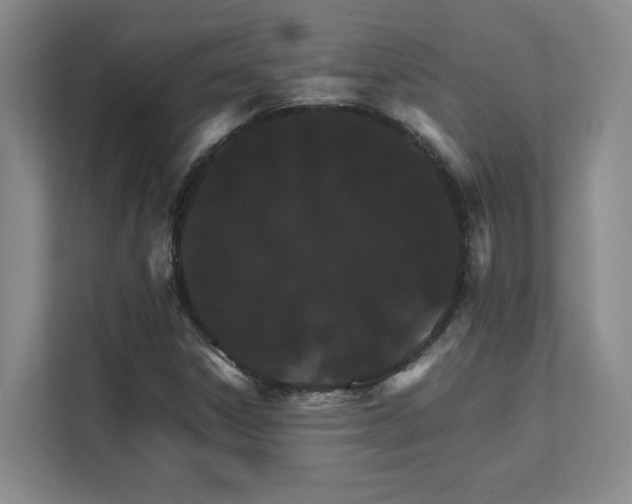 X0000111681306200907171626