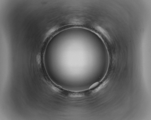 X0000111681307200907171626