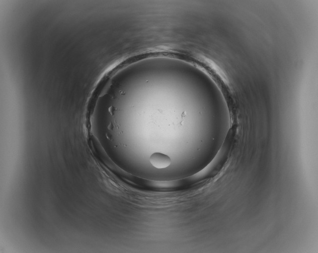 X0000111681308200907171626