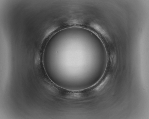 X0000111681309200907171626