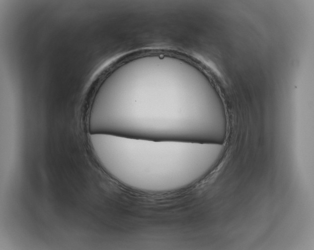 X0000111681311200907171626