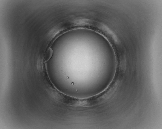 X0000111681313200907171626