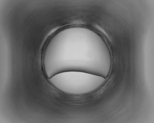 X0000111681315200907171626