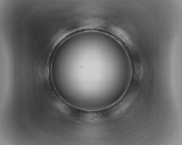 X0000111681316200907171626