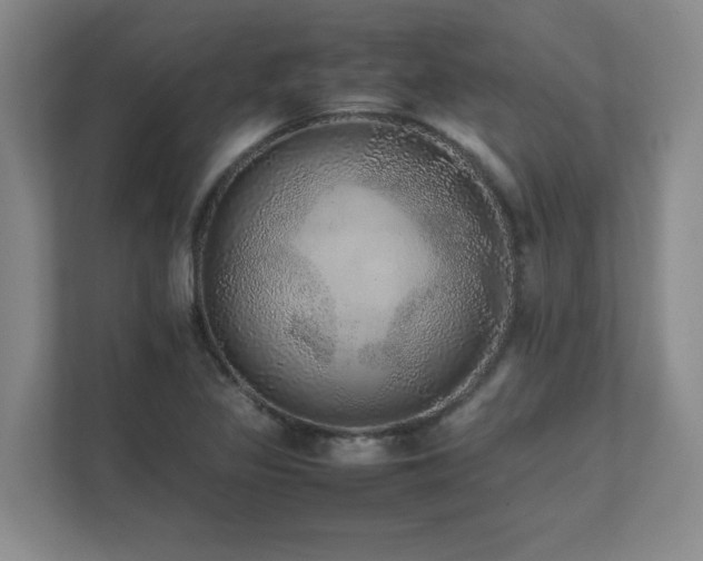 X0000111681317200907171626