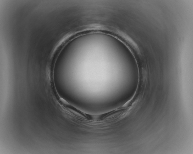 X0000111681318200907171626