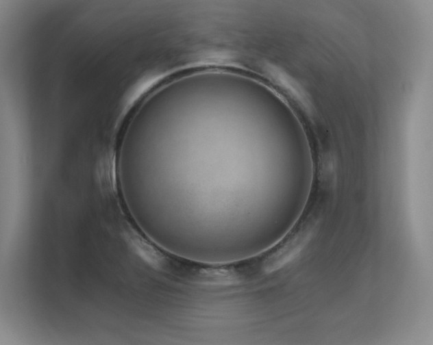 X0000111681320200907171626