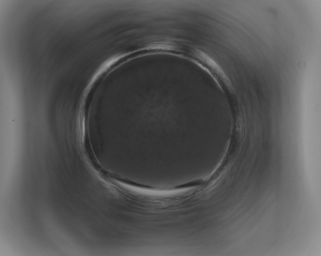 X0000111681323200907171626