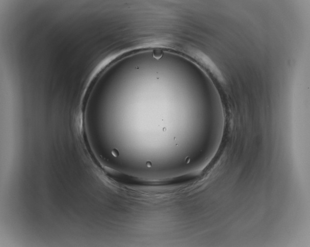 X0000111681324200907171626