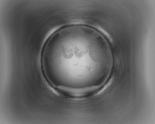 X0000111681325200907171626