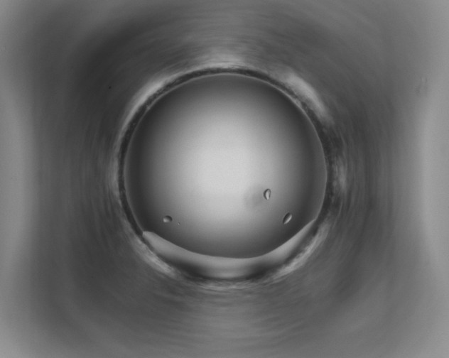 X0000111681326200907171626