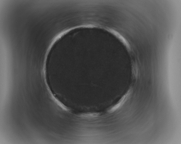 X0000111681327200907171626