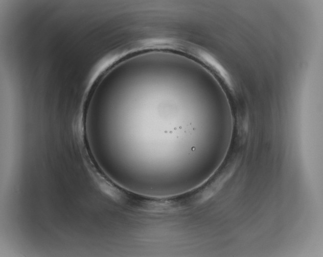 X0000111681328200907171626