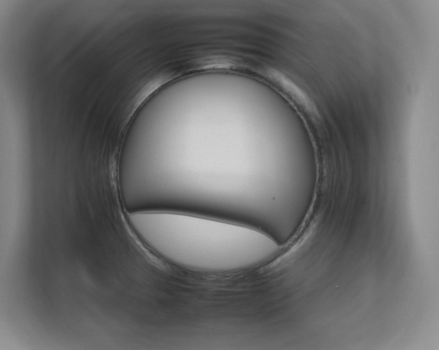 X0000111681329200907171626