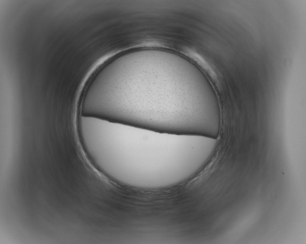 X0000111681331200907171626