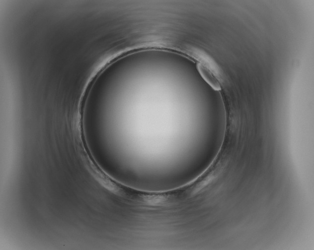 X0000111681332200907171626