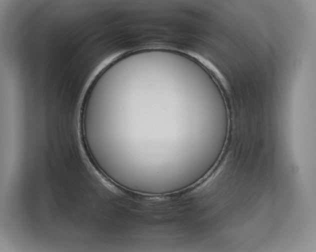 X0000111681333200907171626