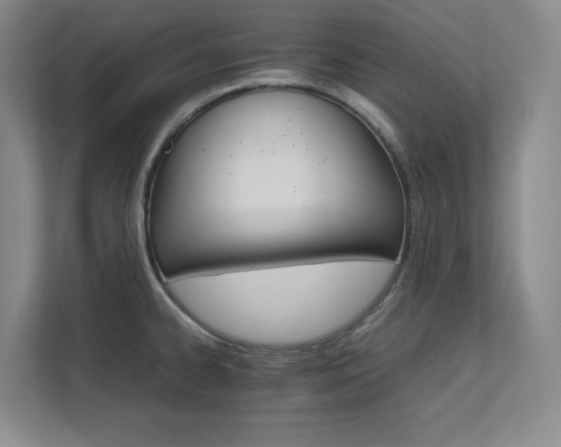 X0000111681334200907171626