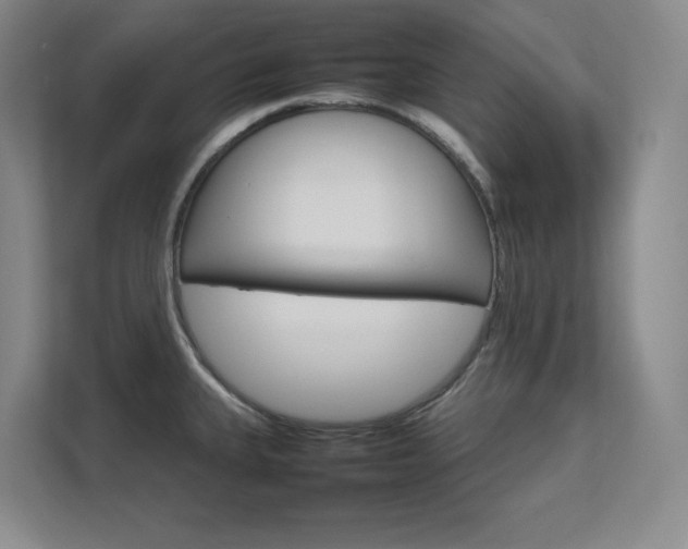 X0000111681335200907171626