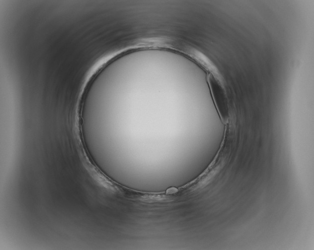 X0000111681336200907171626