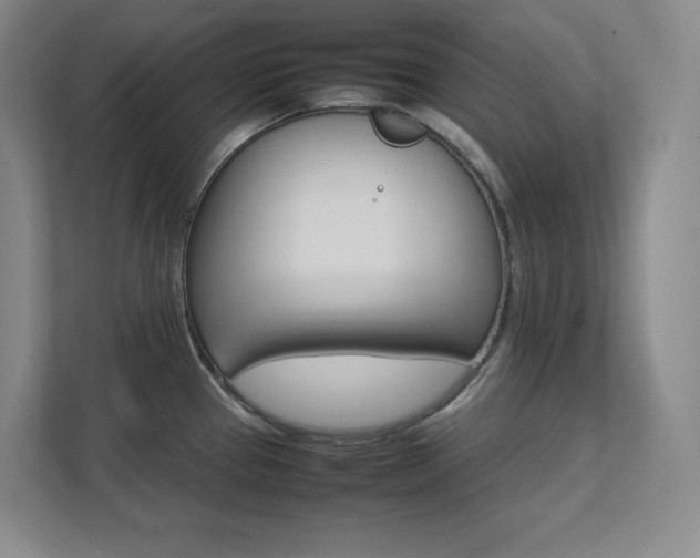 X0000111681337200907171626