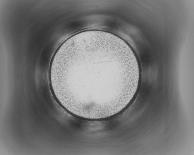 X0000111681338200907171626