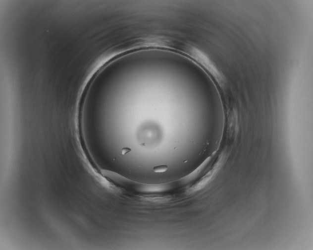 X0000111681339200907171626