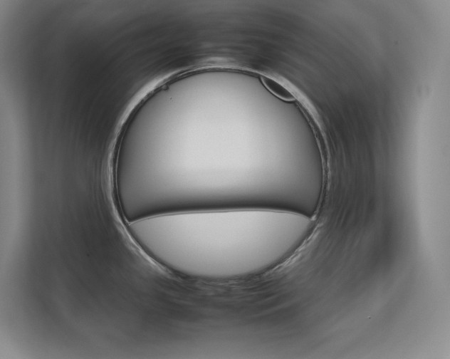 X0000111681341200907171626