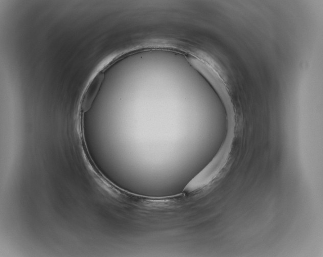 X0000111681342200907171626