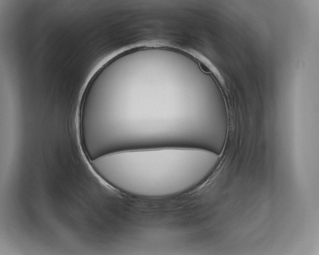 X0000111681343200907171626