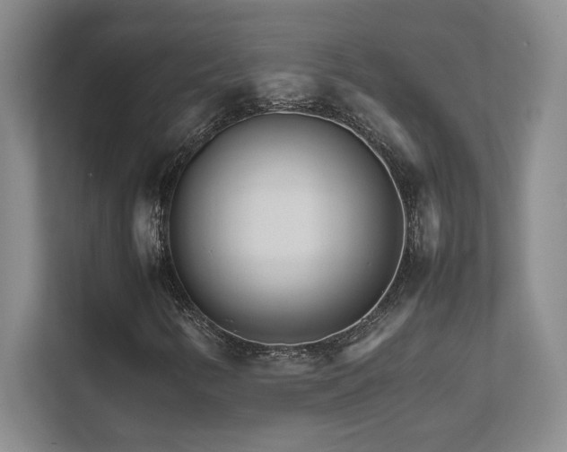 X0000111681346200907171625